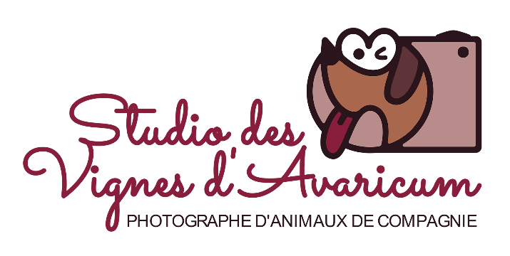 Studio des Vignes d'Avaricum Jean-Marc PENRATH Photographe d'Animaux de Compagnie